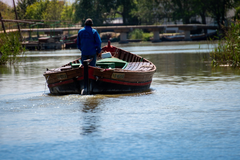 calm, mid adult, nautical vessel, casual clothing, take it easy, boat, waterfront, day, transportation, one person, travel, lake, outdoors, rear view, reflection