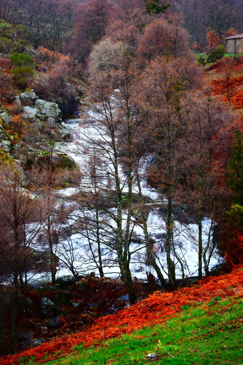 land, stone, environment, tranquil scene, fall, take it easy, natural, change, landscape, autumn collection, no people, water, non-urban scene, mountains