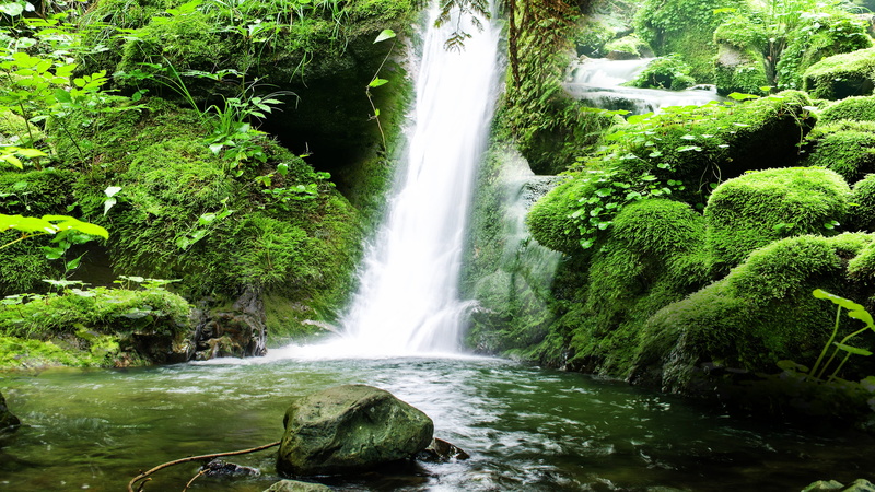 blurred motion, flowing, 4K, outdoors, power in nature, beauty in nature, scene, forests, green color, scenics - nature, tree, rock - object, green, long exposure