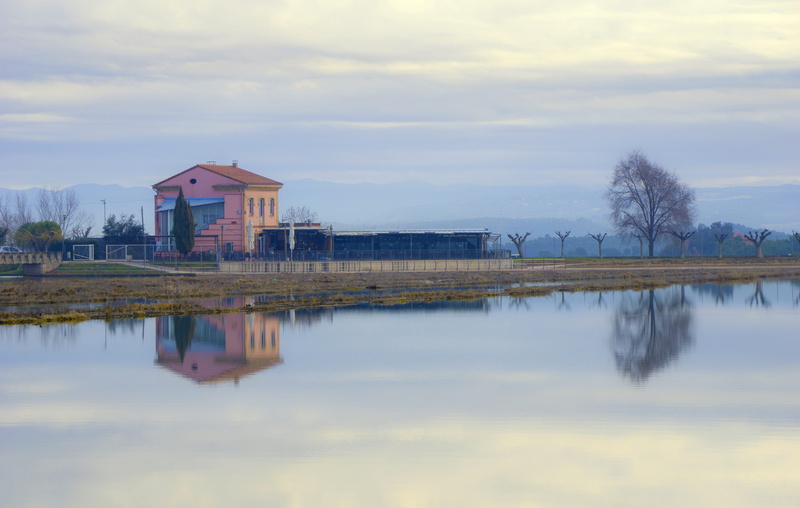 take it easy, scenic, house, tree, beautiful, landscape, scenics - nature, tranquility, spring, plant, building, 5K, calm, built structure, season, water