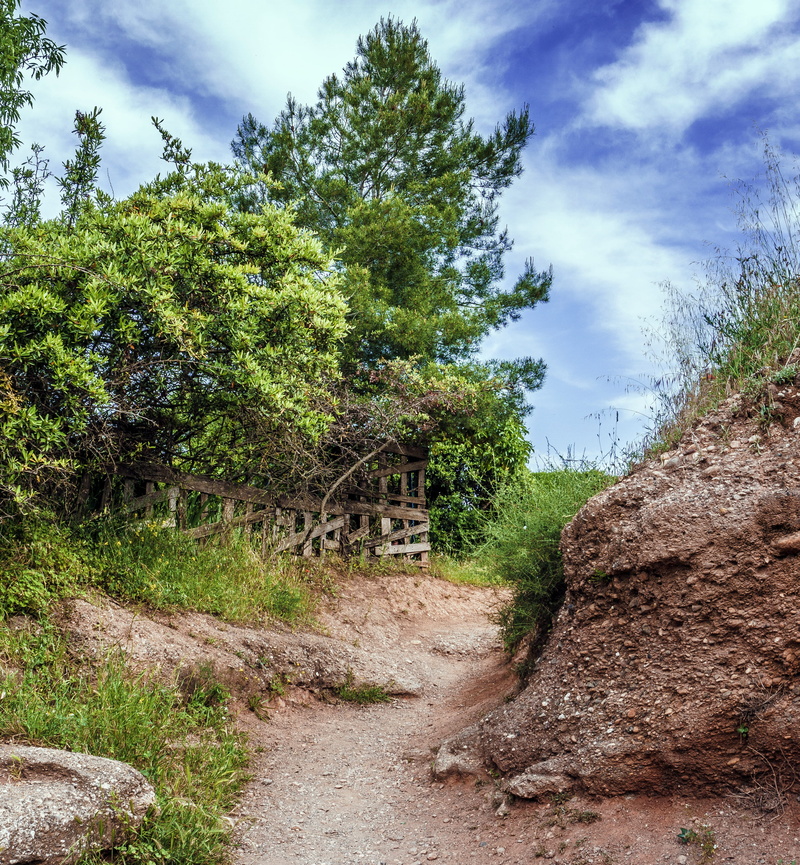 land, trees, forest, growth, 2K, sky, take it easy, dirt road, tranquility, path, tree, calm, summer, nature, plant, environment, direction, field, clouds