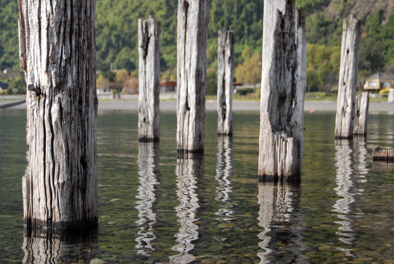 natural, waters, plant, texture, woodland, 4K, wood, land, tranquil scene, tree trunk, reflection, tranquility, forests, wooden post, beautiful, landscape