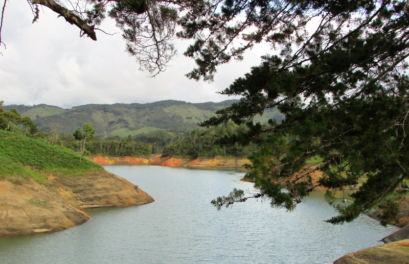 colombia, sky, environment, journey, beauty in nature, plant, take it easy, lake, beauty, tranquility, landscape, mountain, tree, tranquil scene, trees