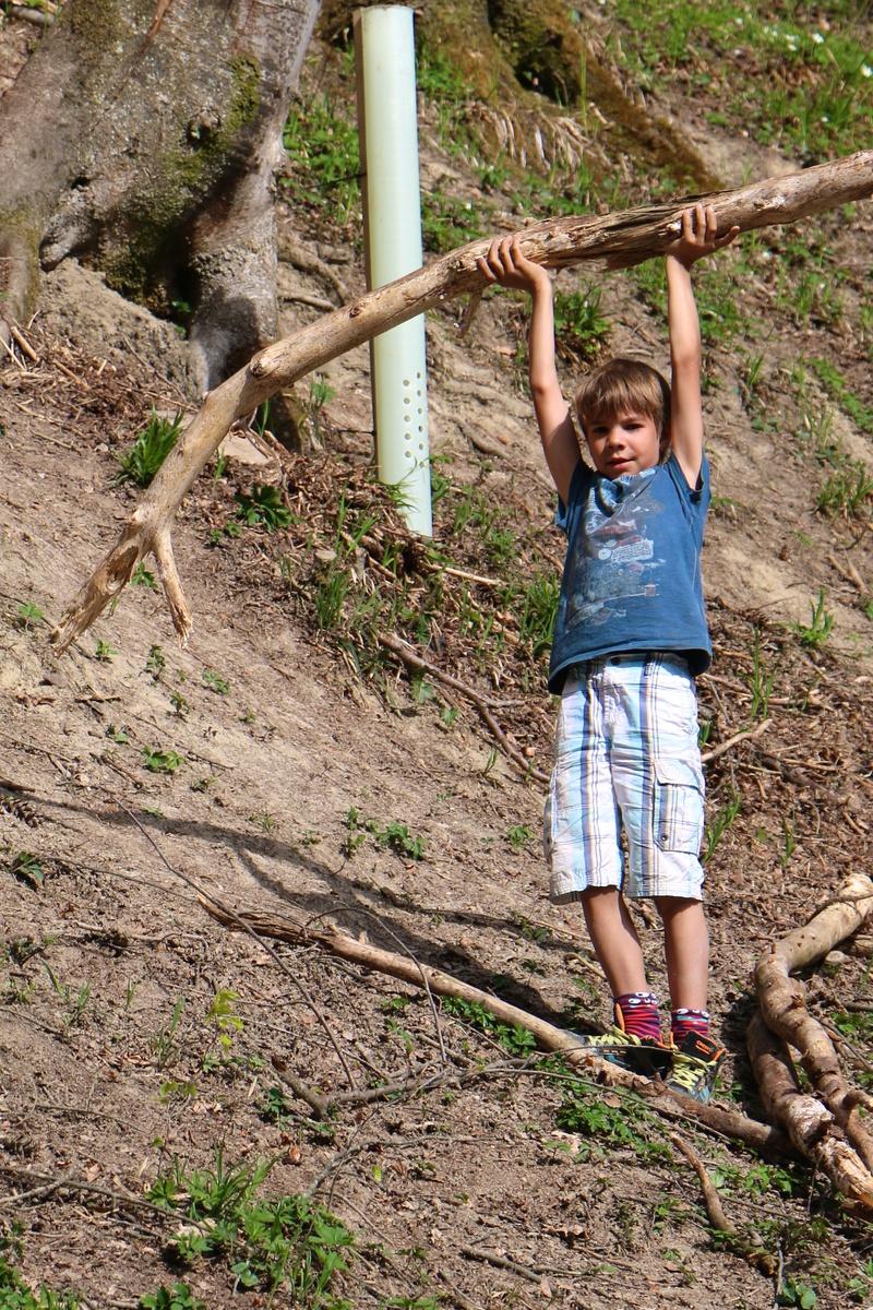 males, childhood, outdoors, one person, front view, strong, lifestyles, self-confidence, strength, full length, construction pole, nature, land, human arm