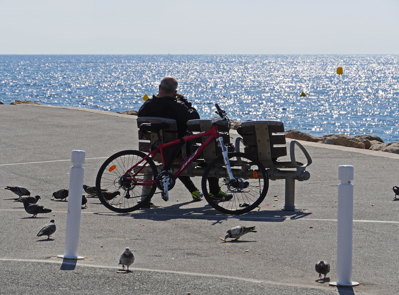 eat, view, distant view, shadow, one person, real people, bike ride, cannes, côte d  azur, rear view, break, south of france, seat, full length, 4K, pigeons