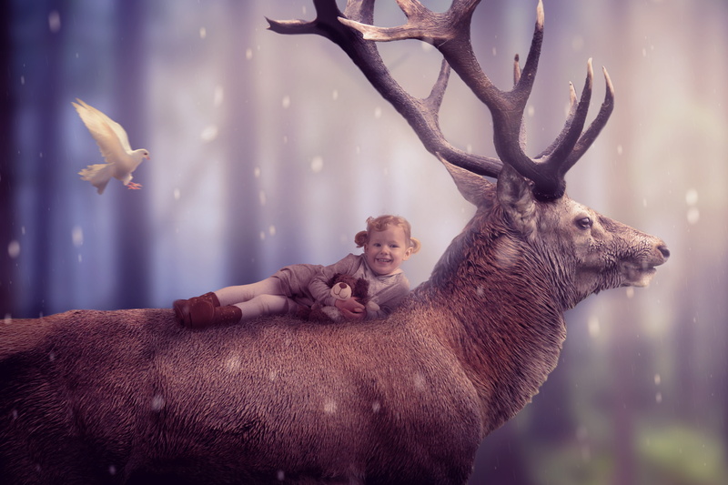 side view, animals in captivity, concerns, child, cardigan, rest, dove, fur, composition, profile view, winter, animal wildlife, snow, recovery, girl, roe deer