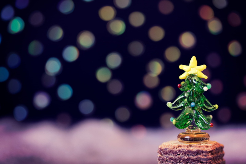 plant part, christmas Tree, photography, ornate, nature, close-up, leaf, holiday, tilt shift lens, defocused, food and drink, tilt, christmas Ornament