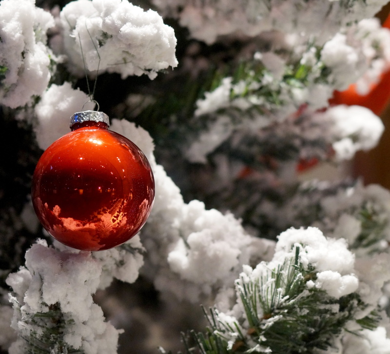 focus on foreground, showcase, toy, decoration, new year, Ball, winter, branch, ice, holiday, no People, photo, celebration, ornament, christmas, nature