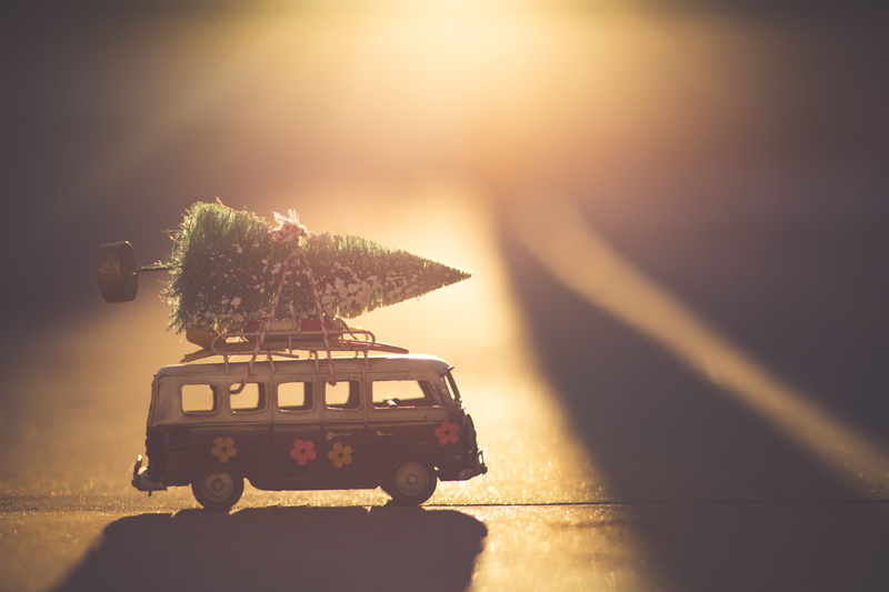 bus, sky, small, transportation, outdoors, carrying, sunlight, food, no people, pine, travel, day, mode of transportation, land vehicle, christmas tree