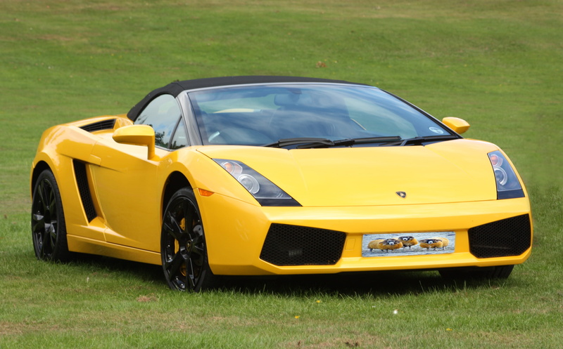 taxi, grass, yellow taxi, sports, car, mode of transportation, speed, public transportation, outdoors, green color, field, toy car, sportscar, plant, land vehicle