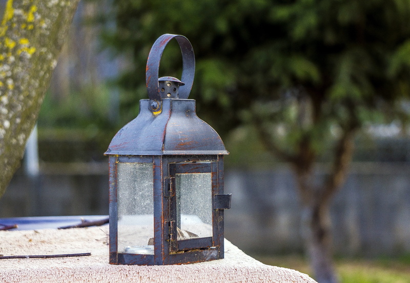bottle, thing old, candil, park, iron, close-up, old, tree, land, decoration, nature, no people, garden, outdoors, glass, metal, plant, 4K, light, park - man made space