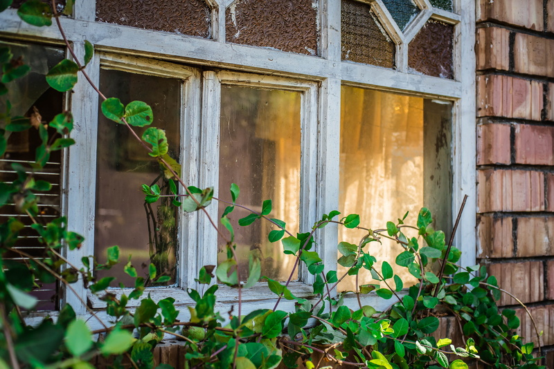 4K, architecture, green color, outside, no people, window frame, damaged, old, building exterior, view, house, leaf, nature, wall - building feature, window