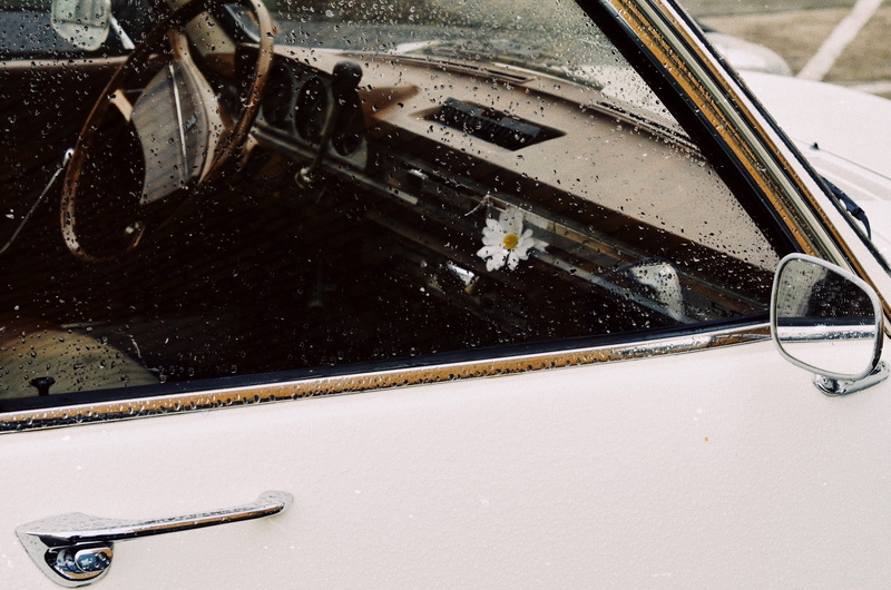 daisy, 4K, no people, motor vehicle, flower, white, digital, steering wheel, window, day, transportation, mode of transportation, travel, wet, view, nature