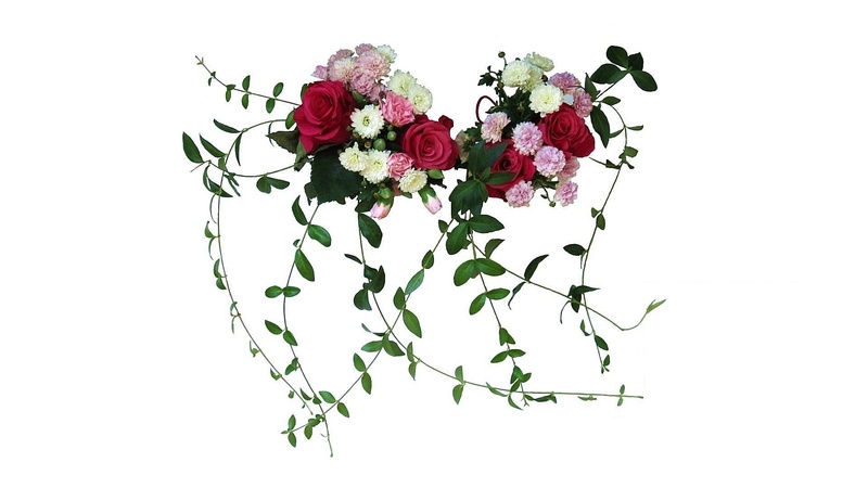summer flowers, indoors, studio shot, flowering plant, nature, beauty in nature, red, fragility, leaf, white, petal, no people, rose - flower, inflorescence