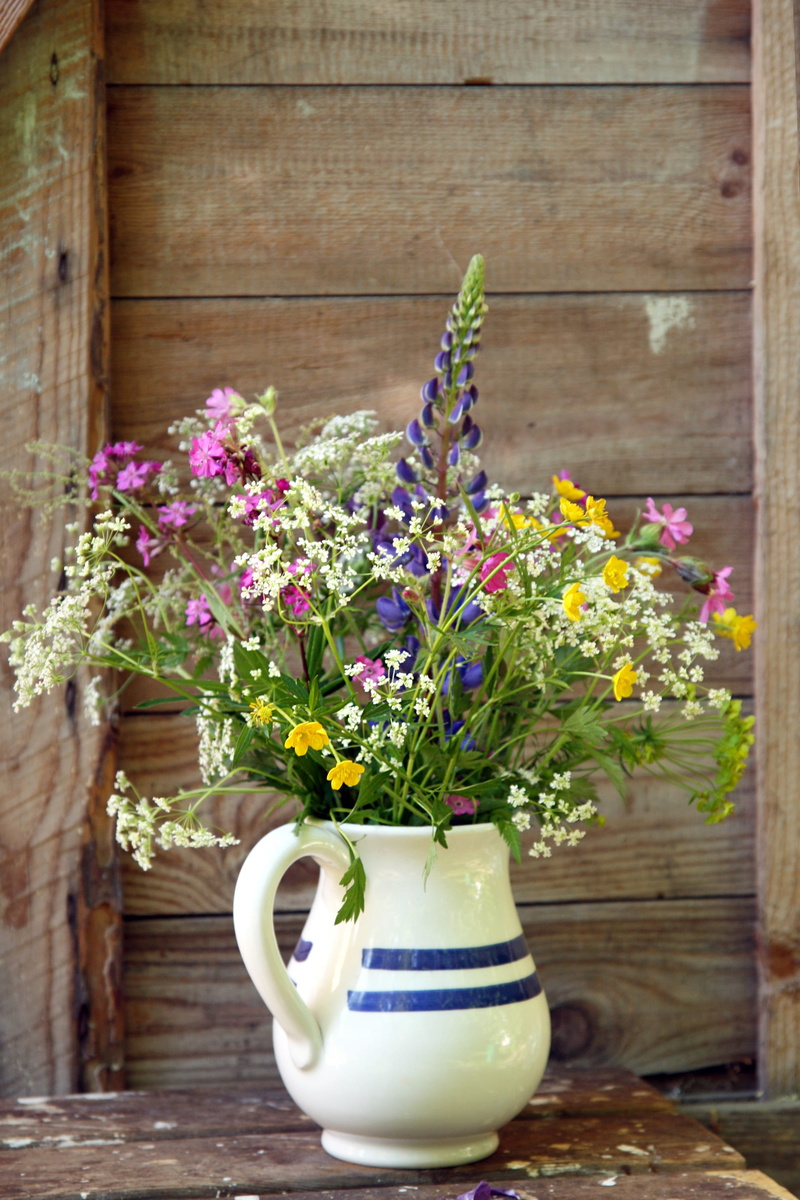table, fragility, summer flower, vase, jug, teapot, pitcher - jug, no people, 2K, outdoors, corsage, nature, freshness, cup, plant, day, flower, flower head