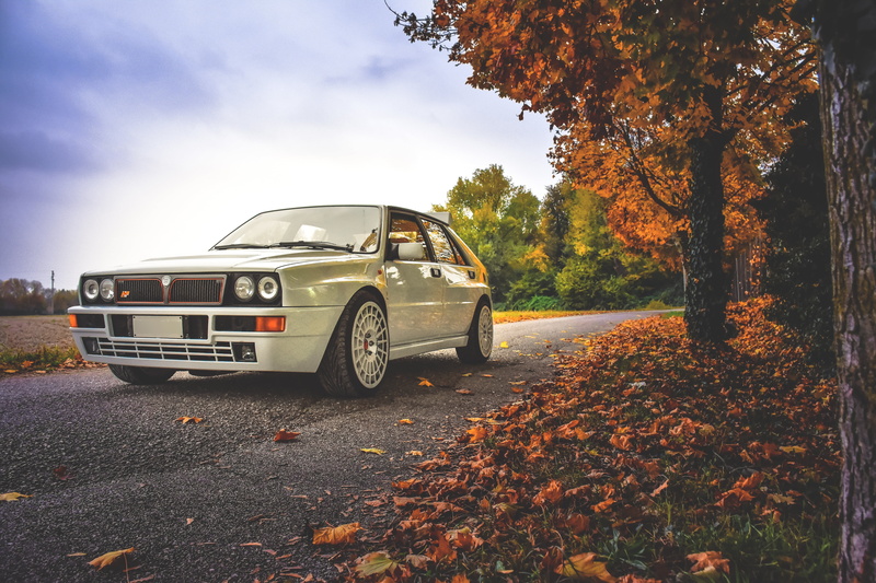 day, no people, maple, delta, car, auto, white, land, lance, motor vehicle, vintage car, victory, land vehicle, leaves, outdoors, mode of transportation