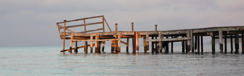 scaffolding, pier, travel destinations, architecture, wood - material, sea, day, beach, no people, water, expired, horizon over water, wooden post, weather-beaten
