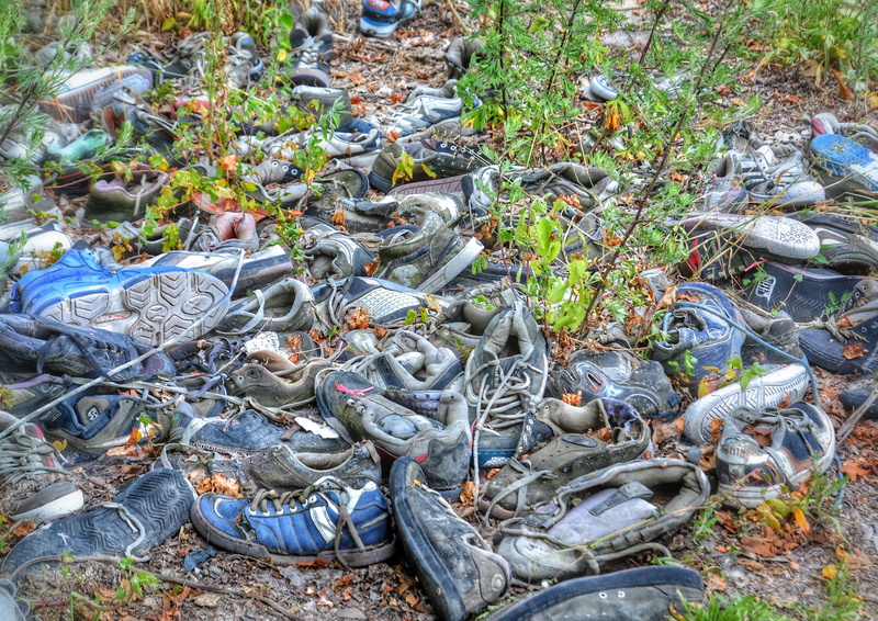no people, transient, tooth of time, sneaker, growth, ailing, garbage, large group of objects, land, lapsed, expired, broken, large group of animals, stack