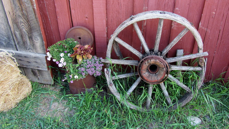 rusty, farmer, 4K, cart, flower pot, growth, expired, grass, wheel, flower, outdoors, wagon wheel, farm, flowering plant, plant, field, wood - material