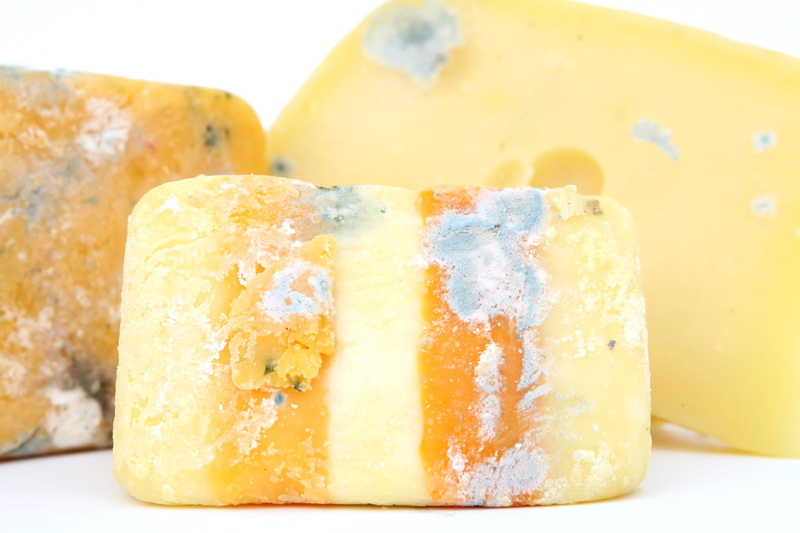temptation, indoors, plate, food and drink, healthy eating, 2K, melting, slice, dessert, old, expired, sweet food, dairy product, cheese, freshness, white background