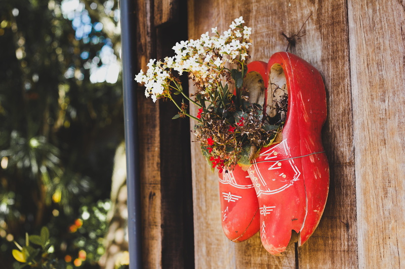 flora, nature, wood - material, holiday, wood, growth, christmas ornament, outdoors, celebration, colors, wooden, wooden wall, decoration, close-up, christmas decoration