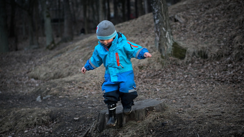 step out, winter cloths, small, cold, trees, 2K, leaves, outdoors, little, tree, stump, real people, offspring, child, clothing, spring, playing, boy
