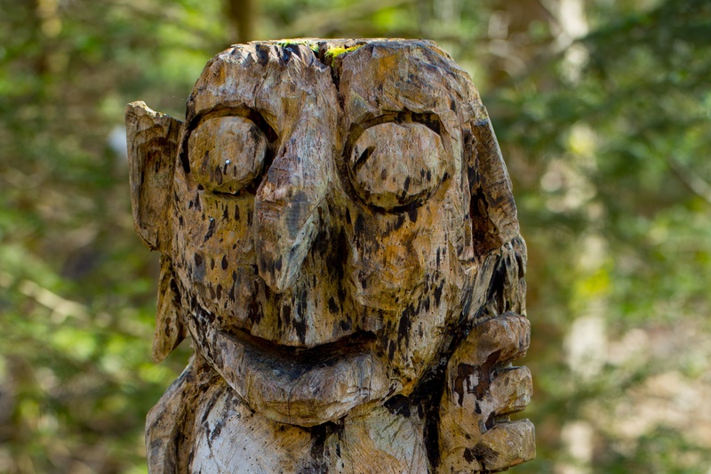 outdoors, forest, kobold, no people, plant, profile, statue, sculpture, 4K, close-up, smile, bark, representation, art, human representation, focus on foreground