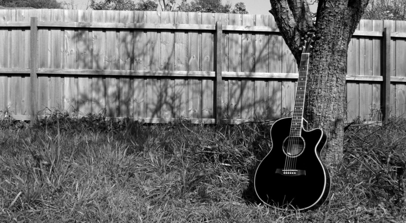 nature, no people, window, musical instrument, acoustic guitar, field, grass, architecture, black, guitar, land, outdoors, plant, string instrument, abandoned