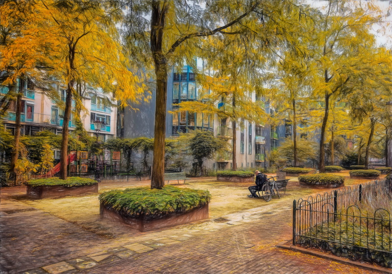 leisure activity, painting, holland, real people, plant, men, 4K, growth, trunk, architecture, autumn, solitude, nature, outdoors, autumn collection, park