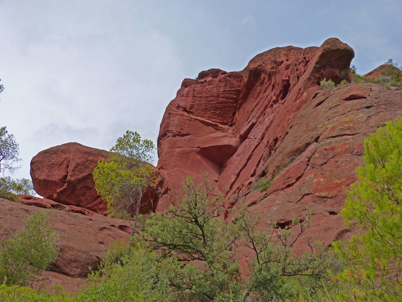 landscape, day, travel destinations, solid, priorat, 4K, rock formation, plant, beauty in nature, scenics - nature, utah, no people, uSA, red, semi-arid