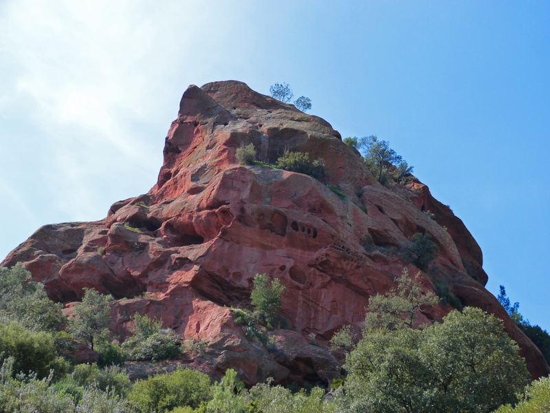 day, scenics - nature, red stoneware, low angle view, rock formation, solid, red sandstone, physical geography, non-urban scene, nature, montsant, tree