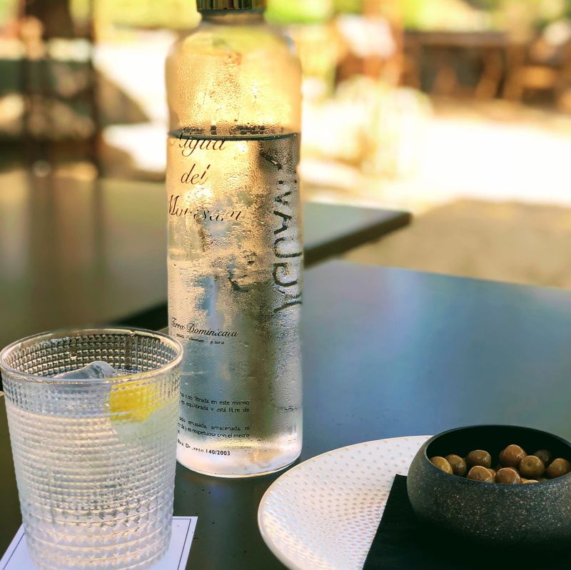 water, lemon, drink, glass, la morera de montsant, table, day, focus on foreground, refreshment, close-up, transparent, household equipment, terra dominicata