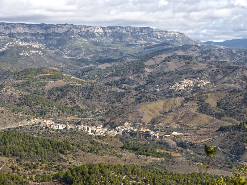 tree, nature, outdoors, les vilelles, beauty in nature, tranquil scene, priorat, sky, formation, architecture, montsant, plant, non-urban scene, cloud - sky
