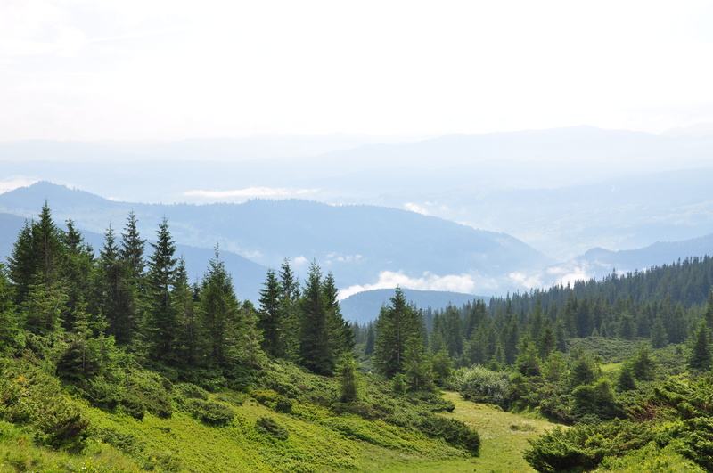 tranquil scene, mountain range, landscape, nature, greens, beauty in nature, growth, appeasement, mountain, idyllic, mountains, plant, tranquility, summer in the mountains