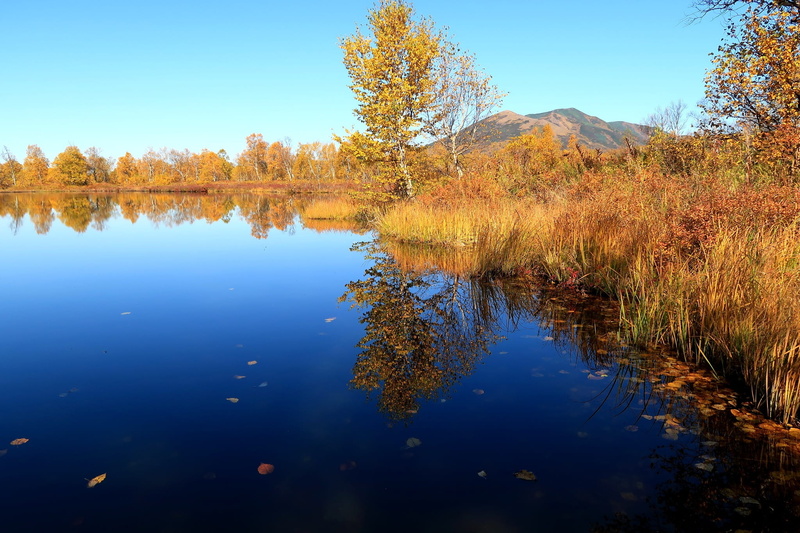 mirror, non-urban scene, nature, waterfront, scenics - nature, no people, lake, fall colors, body of water, growth, golden autumn, tranquil scene, sky