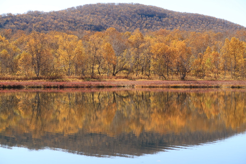 appeasement, forest, tranquility, mountains, lake, tree, beauty in nature, scenics - nature, idyllic, golden autumn, landscape, body of water, waterfront