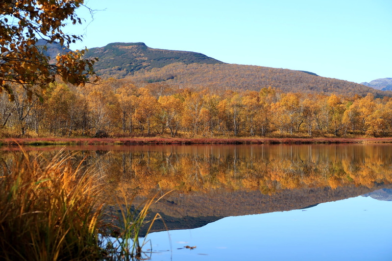 body of water, fall colors, tranquility, day, golden autumn, reflection, sky, trees, outdoors, silence, water, mountains, no people, idyllic, waterfront