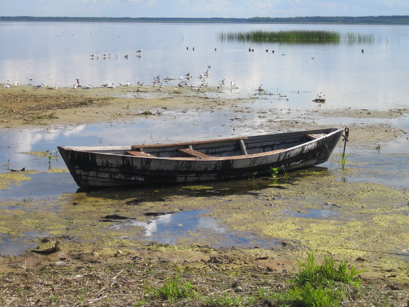Nature, Lake, obsolete, Appeasement, moored, sinking, water, outdoors, tranquility, mode of transportation, nautical vessel, land, abandoned, rowboat, boat