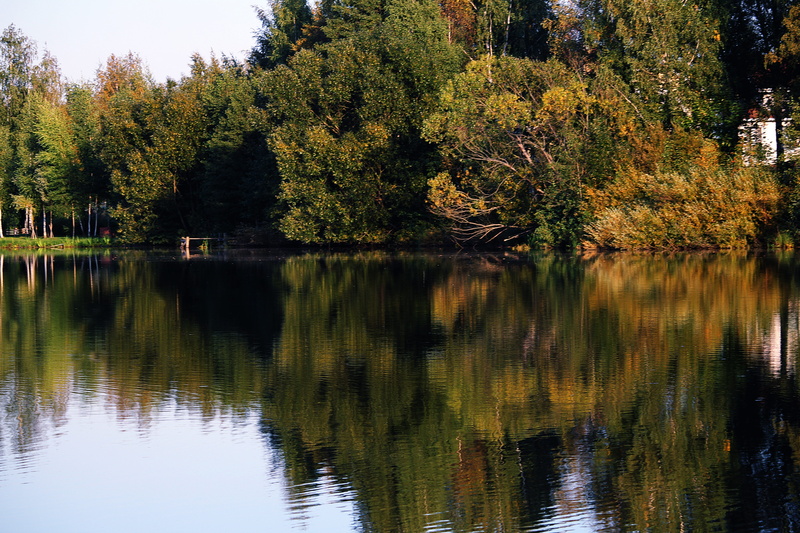 tranquility, golden autumn, autumn, waterfront, growth, fall colors, change, nature, mirror, scenics - nature, beauty, outdoors, reflection, smooth surface