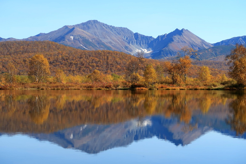 landscape, lake, plant, sky, autumn, water, fall colors, smooth surface, tranquility, body of water, golden autumn, non-urban scene, nature, silence, autumn day