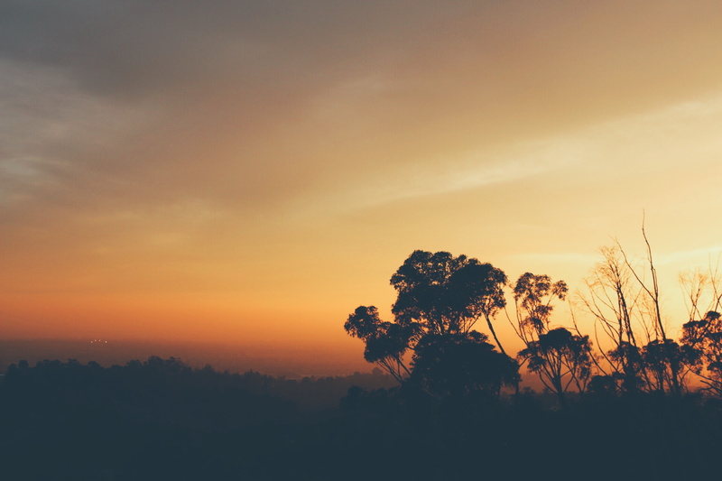 no people, brown, landscape, orange, sky, overlook, golden, plant, black, non-urban scene, scenics - nature, colorful, nature, orange color, view, silhouette