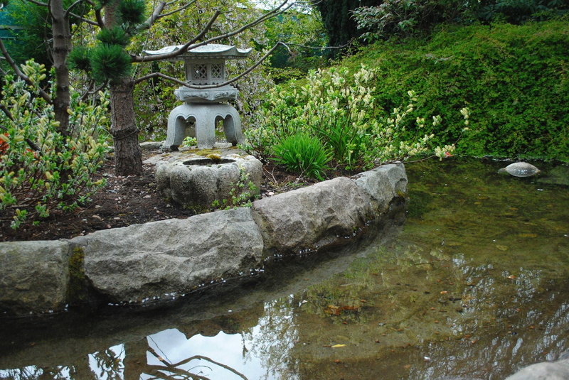 outdoors, botanical garden, flowing, soothing, formal garden, the bushes, rock, 1080P, reflection, landscape, rock - object, silence, calm, chinese, greens