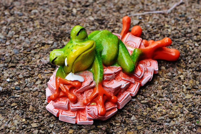 multi colored, food, green color, representation, frog, wellbeing, red bell pepper, funny, sleep, spice, sweet, healthy eating, red, pepper, bunch of money