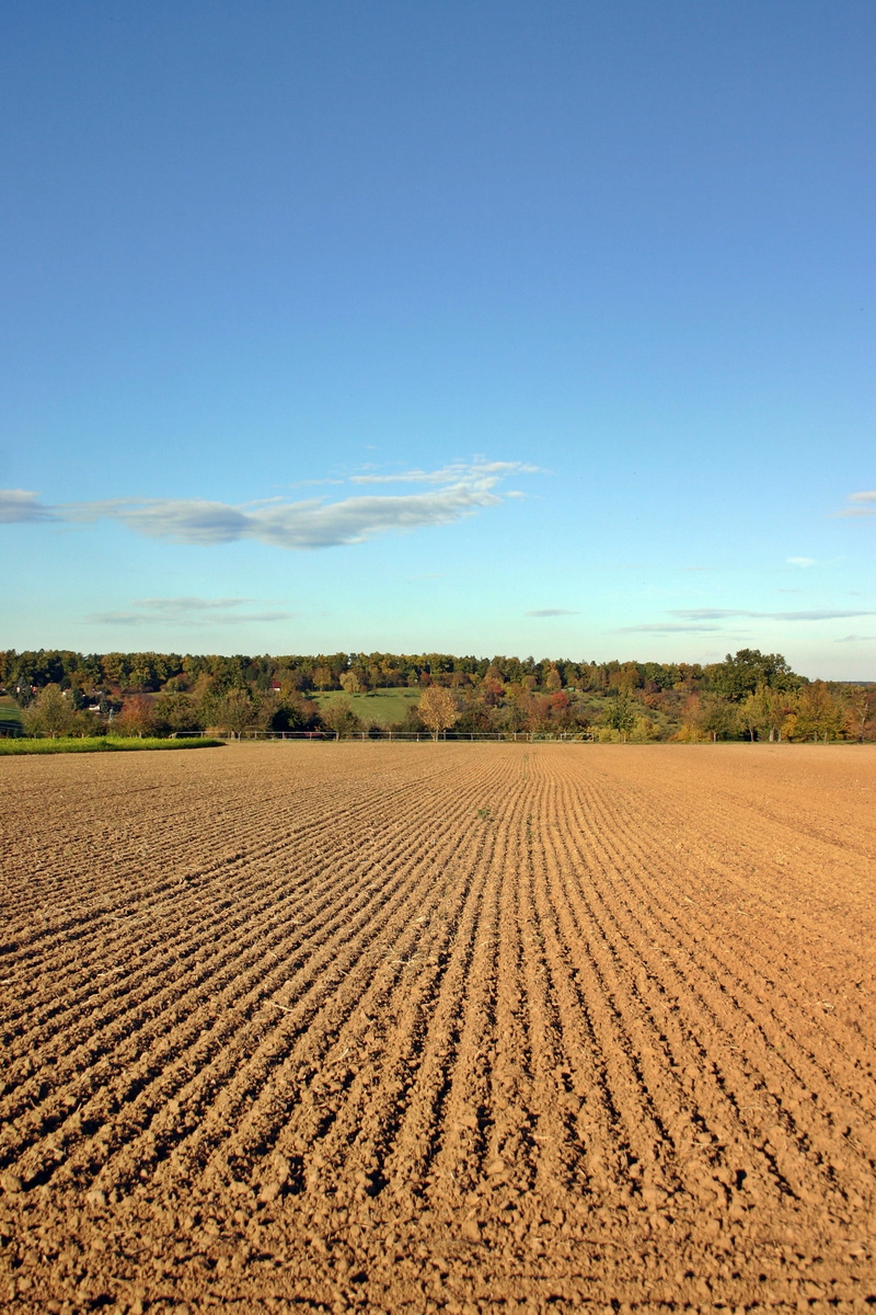 growth, outdoors, brown, baden württemberg, environment, tranquil scene, Ridge, summer, sky, earth, no People, landscaped, blue, soil, symmetry, plant