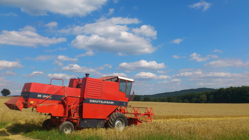wheat field, crop, cereals, day, harvesting, growth, mood, machinery, midsummer, land, landscape, plant, harvest, cereal Plant, combine Harvester, sky