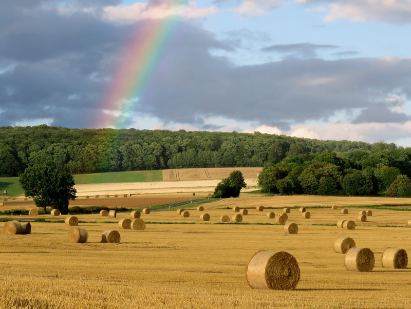 meadow, scenics - nature, harvesting, straw rolls, non-Urban Scene, natural spectacle, environment, landscaped, landscape, wheat, Weather, beauty in nature
