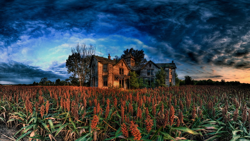 1080P, house, abandon, hdr, hd, urban, nature, abandoned, field, decay