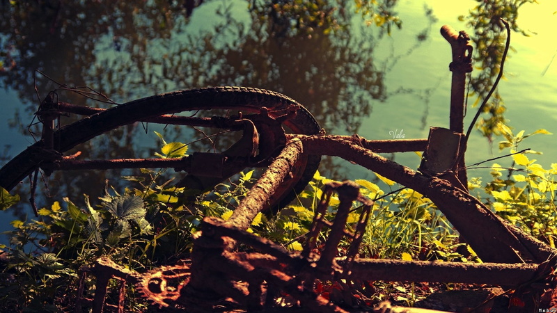 hd, abandon, deserted, decay, urban, nature, bicycle, water, 1080P, rust