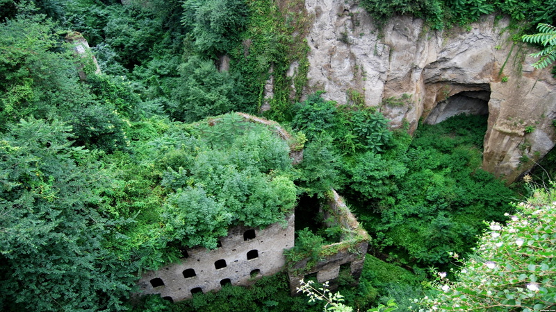 nature, overgrowth, urban, decay, green, abandon, hd, deserted, forest, 1080P