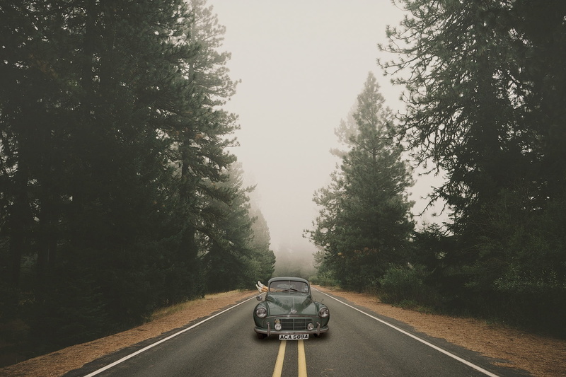 mode of transportation, day, symbol, woods, trees, the way forward, the dirt road, motor vehicle, classic, direction, legs, shoes, relax, lane, tree, automatic